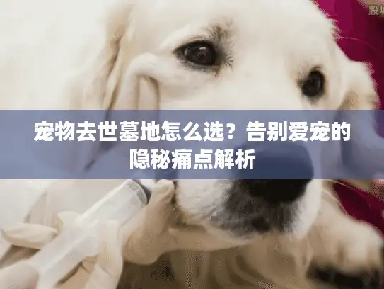 宠物去世墓地怎么选？告别爱宠的隐秘痛点解析