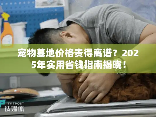 宠物墓地价格贵得离谱?2025年实用省钱指南揭晓! 宠物墓地价格贵得离谱?2025年实用省钱指南揭晓!