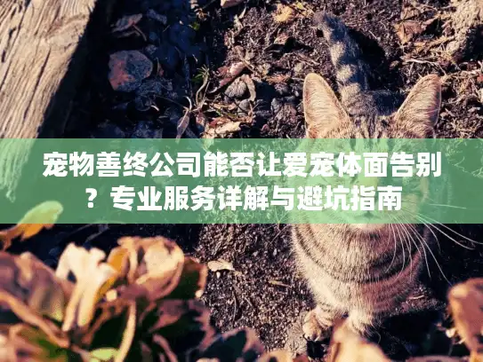 宠物善终公司能否让爱宠体面告别?专业服务详解与避坑指南 宠物善终公司能否让爱宠体面告别?专业服务详解与避坑指南