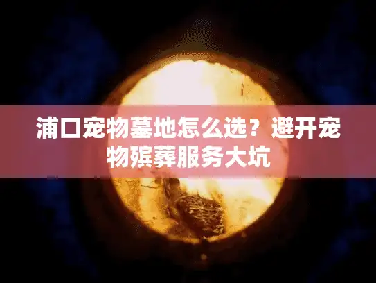 浦口宠物墓地怎么选?避开宠物殡葬服务大坑 浦口宠物墓地怎么选?避开宠物殡葬服务大坑