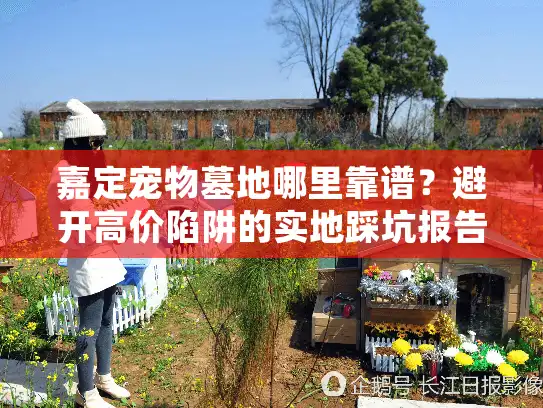 嘉定宠物墓地哪里靠谱？避开高价陷阱的实地踩坑报告
