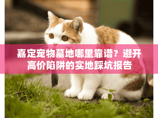 嘉定宠物墓地哪里靠谱？避开高价陷阱的实地踩坑报告