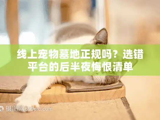 线上宠物墓地正规吗？选错平台的后半夜悔恨清单