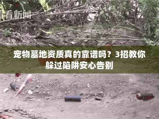 宠物墓地资质真的靠谱吗？3招教你躲过陷阱安心告别