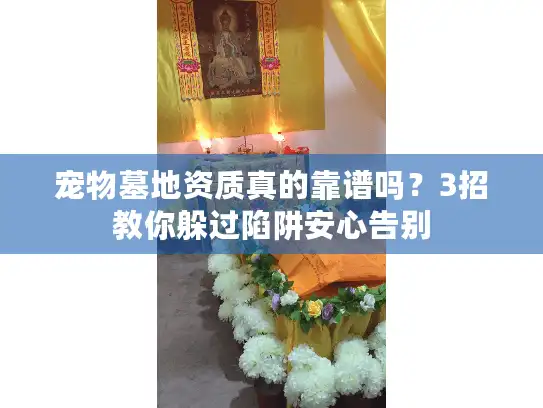 宠物墓地资质真的靠谱吗？3招教你躲过陷阱安心告别