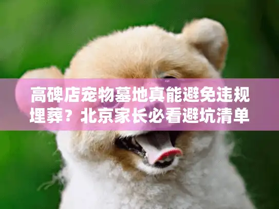 高碑店宠物墓地真能避免违规埋葬？北京家长必看避坑清单