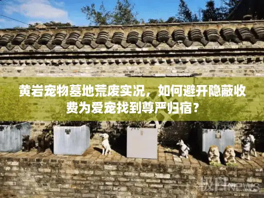黄岩宠物墓地荒废实况，如何避开隐蔽收费为爱宠找到尊严归宿？