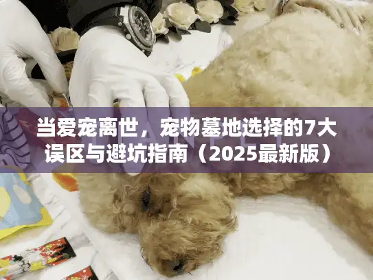 当爱宠离世，宠物墓地选择的7大误区与避坑指南（2025最新版）