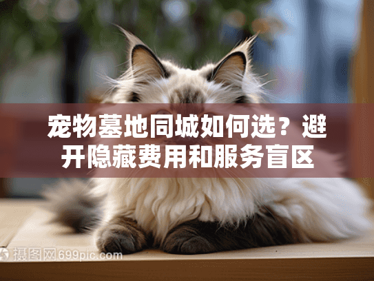 宠物墓地同城如何选？避开隐藏费用和服务盲区