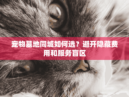 宠物墓地同城如何选？避开隐藏费用和服务盲区