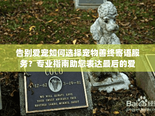 告别爱宠如何选择宠物善终寄语服务?专业指南助您表达最后的爱 告别爱宠如何选择宠物善终寄语服务?专业指南助您表达最后的爱