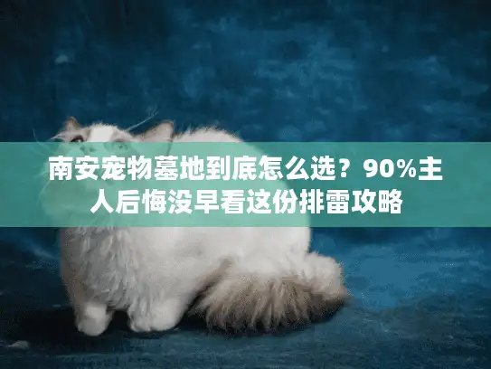 南安宠物墓地到底怎么选？90%主人后悔没早看这份排雷攻略