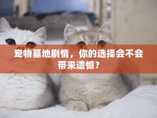 宠物墓地剧情,你的选择会不会带来遗憾? 宠物墓地剧情,你的选择会不会带来遗憾?