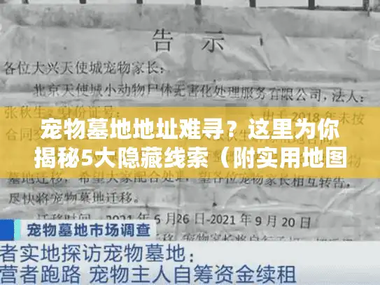 宠物墓地地址难寻?这里为你揭秘5大隐藏线索(附实用地图) 宠物墓地地址难寻?这里为你揭秘5大隐藏线索(附实用地图)