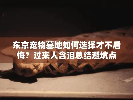 东京宠物墓地如何选择才不后悔？过来人含泪总结避坑点