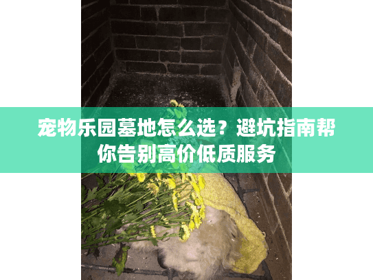 宠物乐园墓地怎么选？避坑指南帮你告别高价低质服务