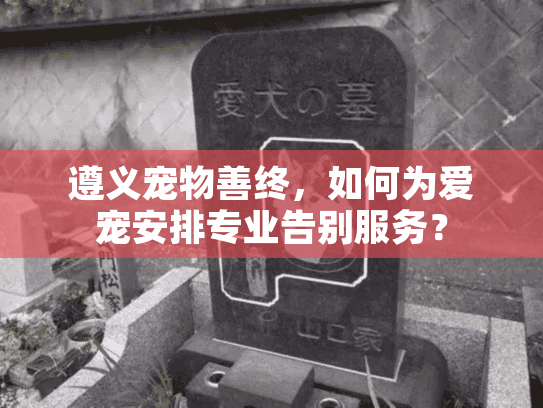 遵义宠物善终，如何为爱宠安排专业告别服务？