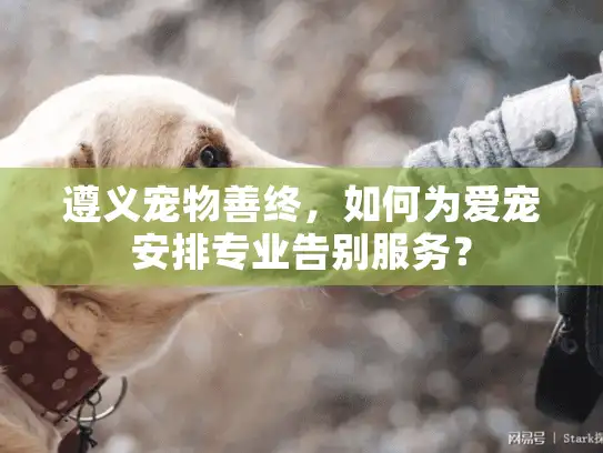 遵义宠物善终，如何为爱宠安排专业告别服务？