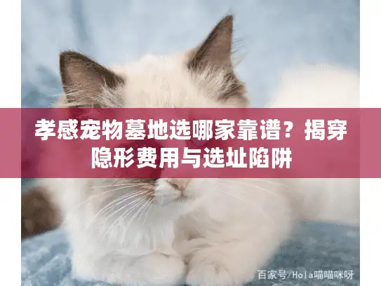 孝感宠物墓地选哪家靠谱？揭穿隐形费用与选址陷阱