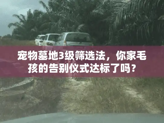 宠物墓地3级筛选法,你家毛孩的告别仪式达标了吗? 宠物墓地3级筛选法,你家毛孩的告别仪式达标了吗?