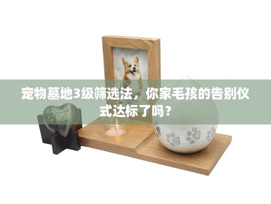 宠物墓地3级筛选法,你家毛孩的告别仪式达标了吗? 宠物墓地3级筛选法,你家毛孩的告别仪式达标了吗?