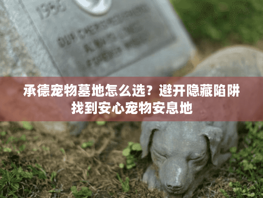 承德宠物墓地怎么选？避开隐藏陷阱找到安心宠物安息地