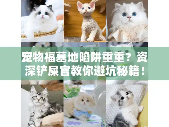 宠物福墓地陷阱重重？资深铲屎官教你避坑秘籍！