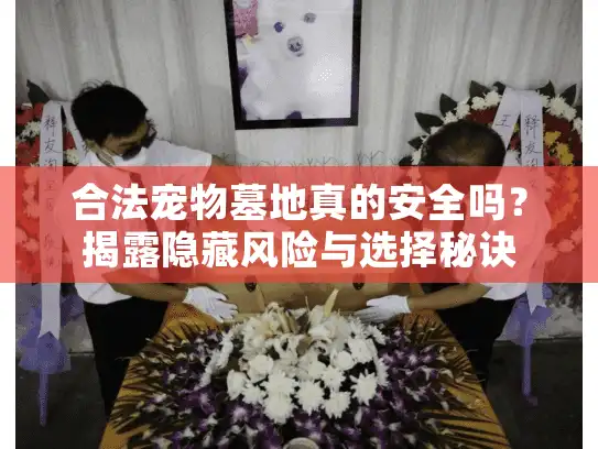 合法宠物墓地真的安全吗?揭露隐藏风险与选择秘诀 合法宠物墓地真的安全吗?揭露隐藏风险与选择秘诀