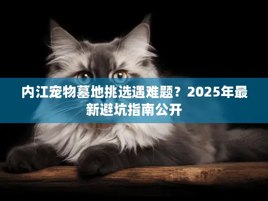 内江宠物墓地挑选遇难题？2025年最新避坑指南公开