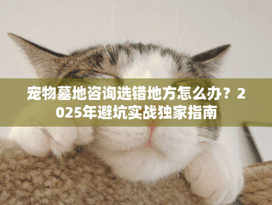 宠物墓地咨询选错地方怎么办?2025年避坑实战独家指南 宠物墓地咨询选错地方怎么办?2025年避坑实战独家指南