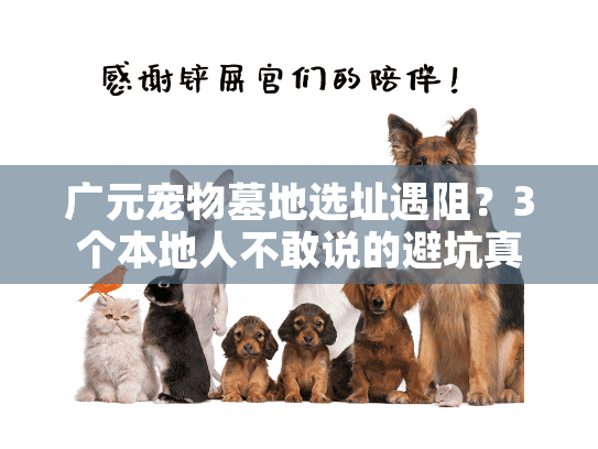 广元宠物墓地选址遇阻?3个本地人不敢说的避坑真相 广元宠物墓地选址遇阻?3个本地人不敢说的避坑真相