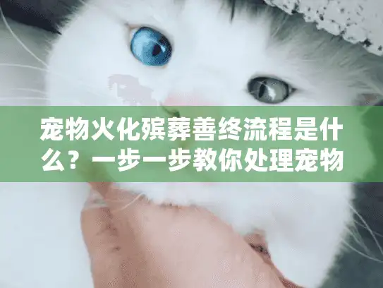 宠物火化殡葬善终流程是什么？一步一步教你处理宠物后事