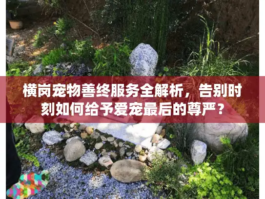 横岗宠物善终服务全解析,告别时刻如何给予爱宠最后的尊严? 横岗宠物善终服务全解析,告别时刻如何给予爱宠最后的尊严?