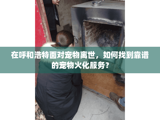在呼和浩特面对宠物离世，如何找到靠谱的宠物火化服务？
