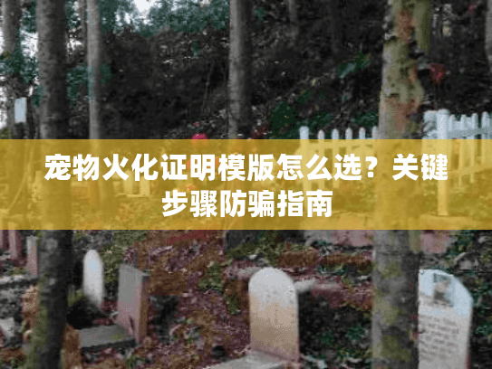 宠物火化证明模版怎么选？关键步骤防骗指南