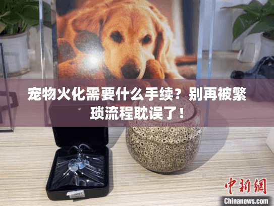 宠物火化需要什么手续？别再被繁琐流程耽误了！