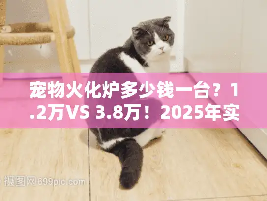宠物火化炉多少钱一台？1.2万VS 3.8万！2025年实测各类宠物殡葬收费标准与骨灰处理真相