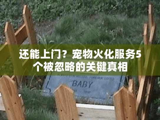 还能上门？宠物火化服务5个被忽略的关键真相