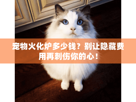 宠物火化炉多少钱?别让隐藏费用再刺伤你的心! 宠物火化炉多少钱?别让隐藏费用再刺伤你的心!