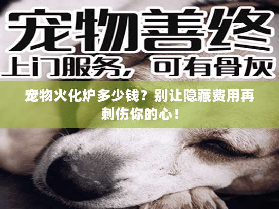 宠物火化炉多少钱?别让隐藏费用再刺伤你的心! 宠物火化炉多少钱?别让隐藏费用再刺伤你的心!
