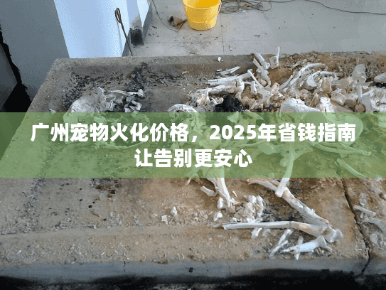 广州宠物火化价格，2025年省钱指南让告别更安心