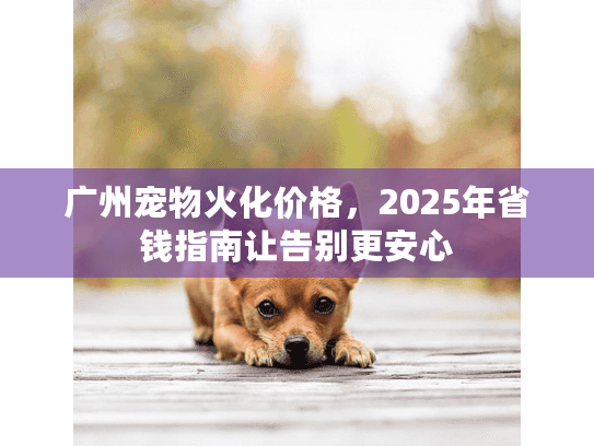广州宠物火化价格，2025年省钱指南让告别更安心