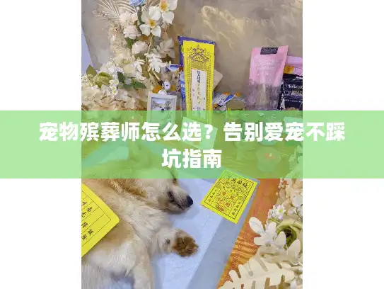 宠物殡葬师怎么选？告别爱宠不踩坑指南