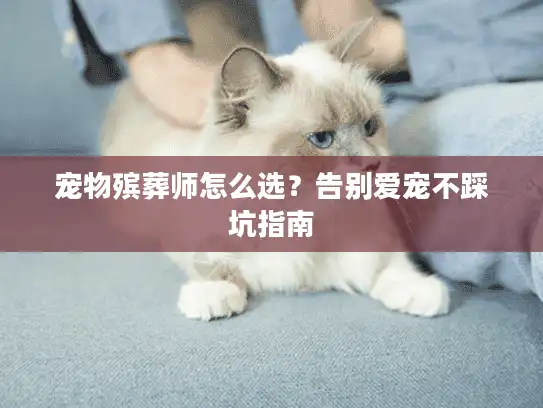 宠物殡葬师怎么选？告别爱宠不踩坑指南