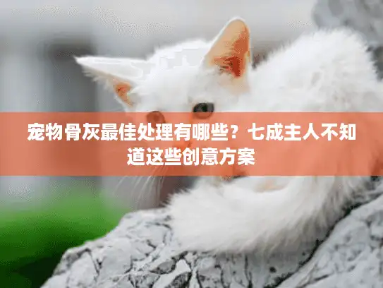 宠物骨灰最佳处理有哪些？七成主人不知道这些创意方案