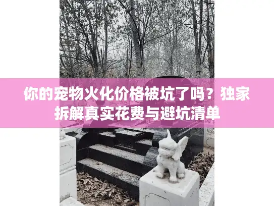 你的宠物火化价格被坑了吗？独家拆解真实花费与避坑清单