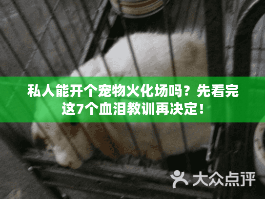 私人能开个宠物火化场吗？先看完这7个血泪教训再决定！