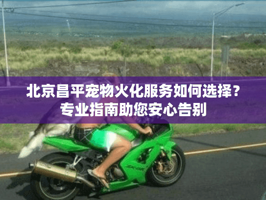 北京昌平宠物火化服务如何选择？专业指南助您安心告别