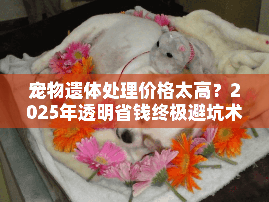 宠物遗体处理价格太高？2025年透明省钱终极避坑术