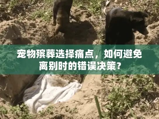 宠物殡葬选择痛点,如何避免离别时的错误决策? 宠物殡葬选择痛点,如何避免离别时的错误决策?